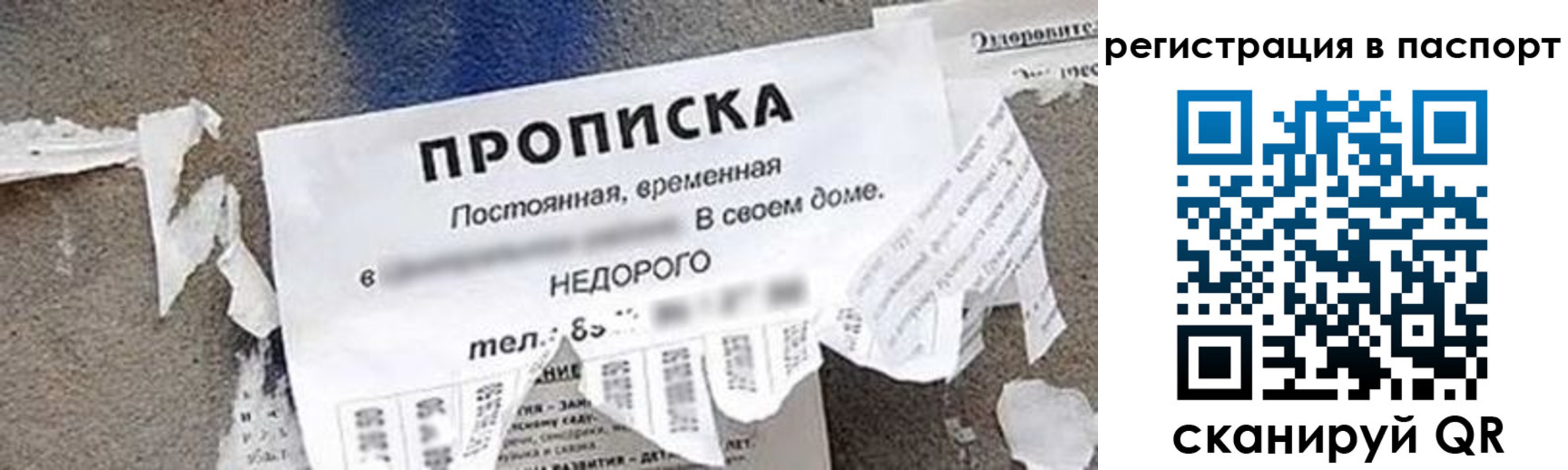 временная регистрация недорого в Петропавловске-Камчатском